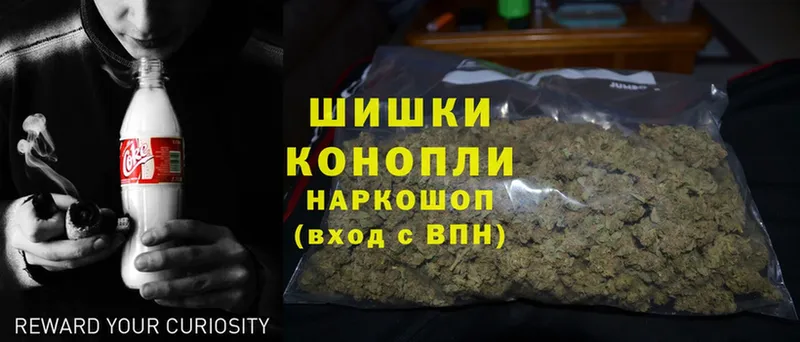 Шишки марихуана OG Kush  Ступино 